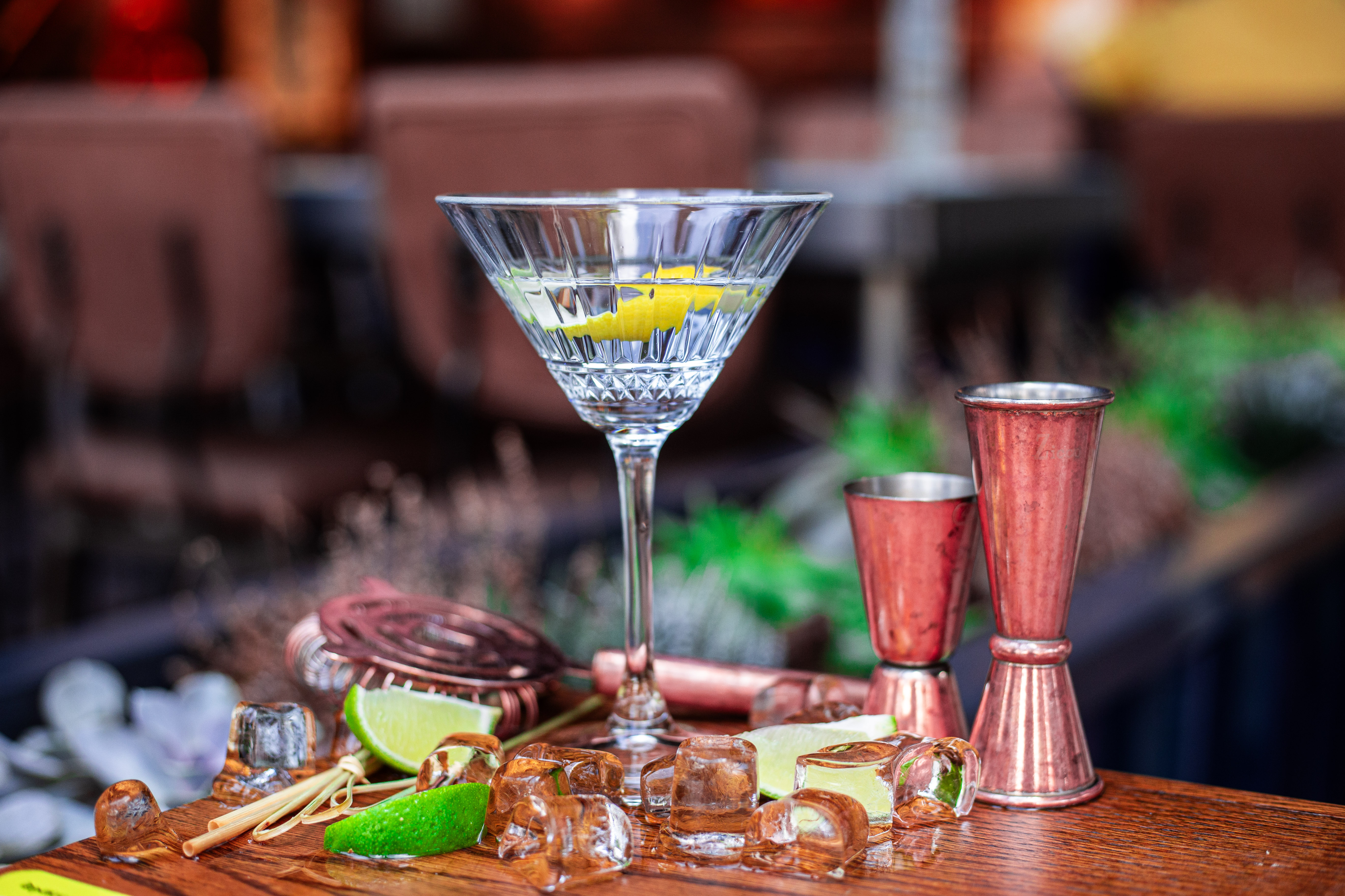 Dry Martini