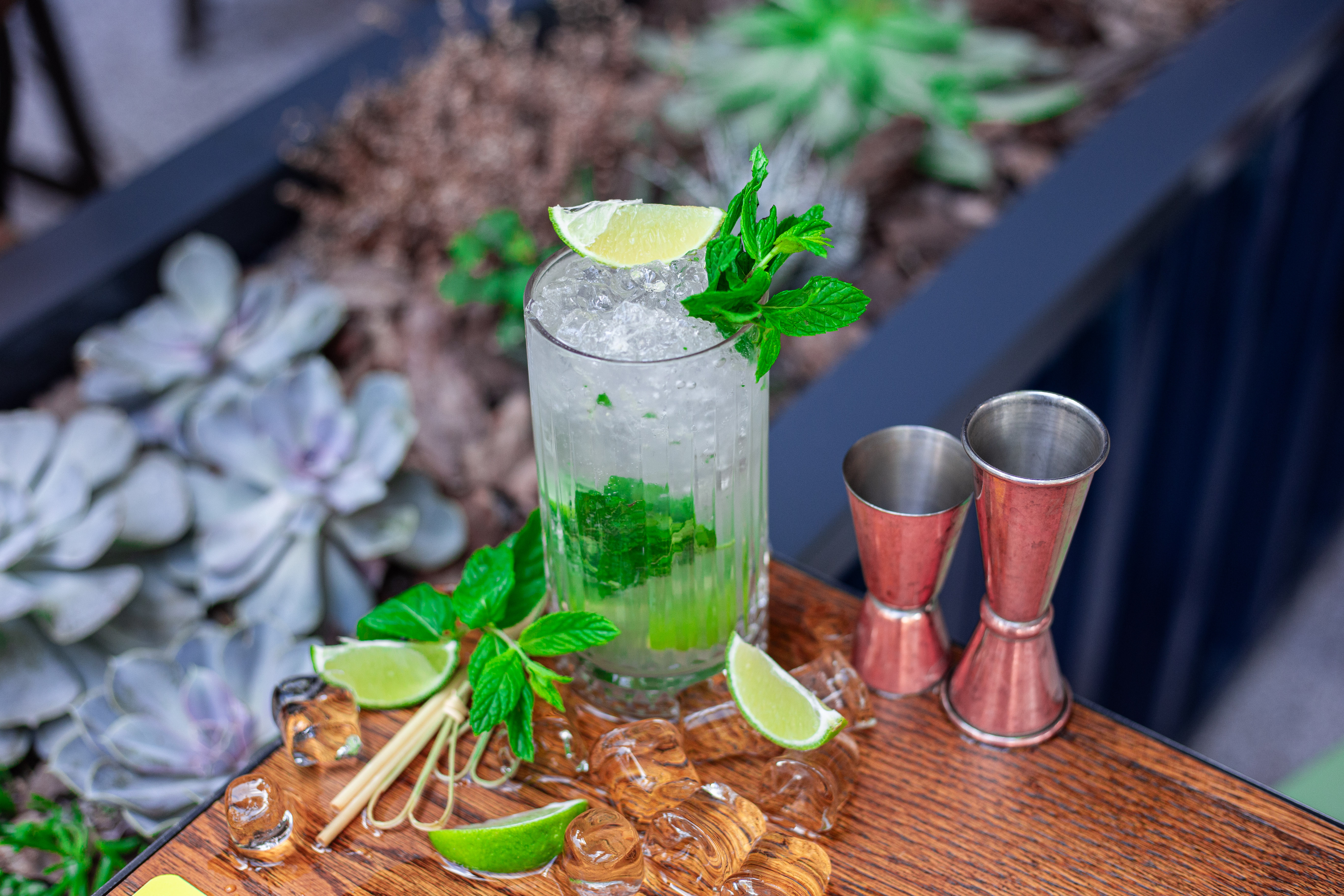 Mojito